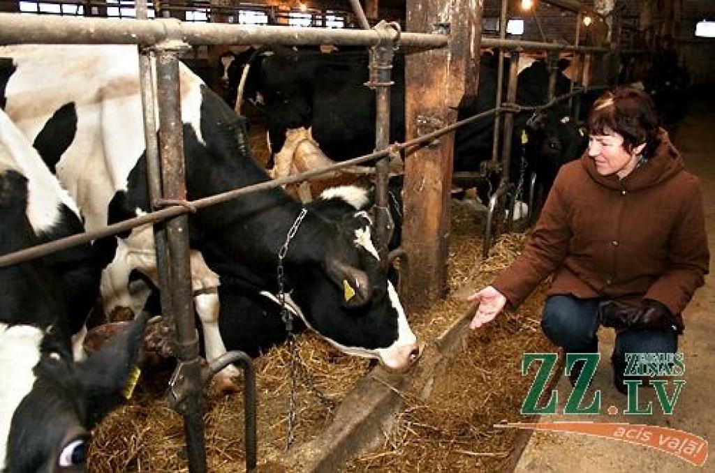 Zemnieku saimniecības «Rudeņi» līdzīpašniece Jolanta Knope.
Autors: Agris Samcovs.