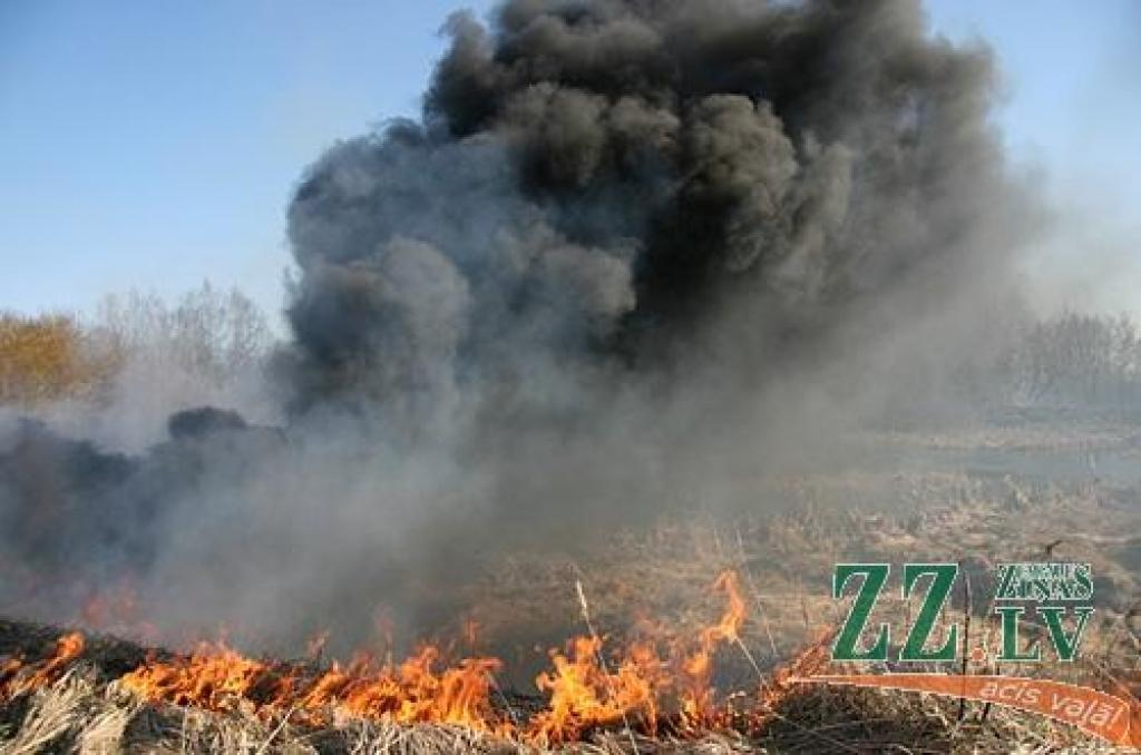 Ceturtdienas pievakarē Jelgavā, pie 5.līnijas kādreizējā šķidro toksisko atkritumu izgāztuvē nezināmi piromāni bija pamanījušies aizdedzināt kūlu, kā rezultātā aizdegās arī pirms daudziem gadiem apvidū izgāztās ķimikālijas. Dažu minūšu...