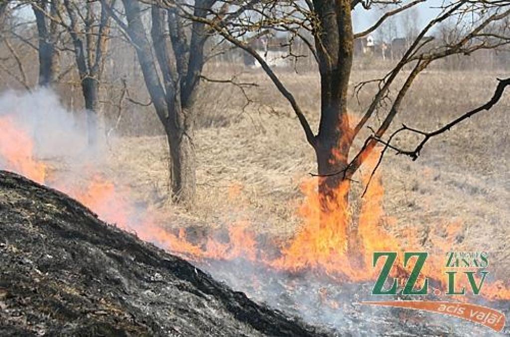 Neskatoties uz vairākkārtējiem brīdinājumiem nededzināt veco zāli, trešdien ap pusdienlaiku kāds Tušķos bija izlēmis rīkoties pretēji un pielaidis kūlai uguni.