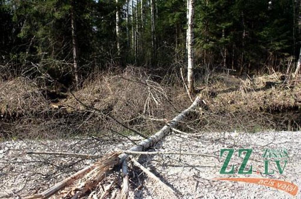 Autors: Agris Samcovs.