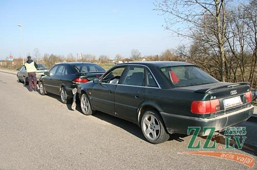 Autors: Inga Karlinska.