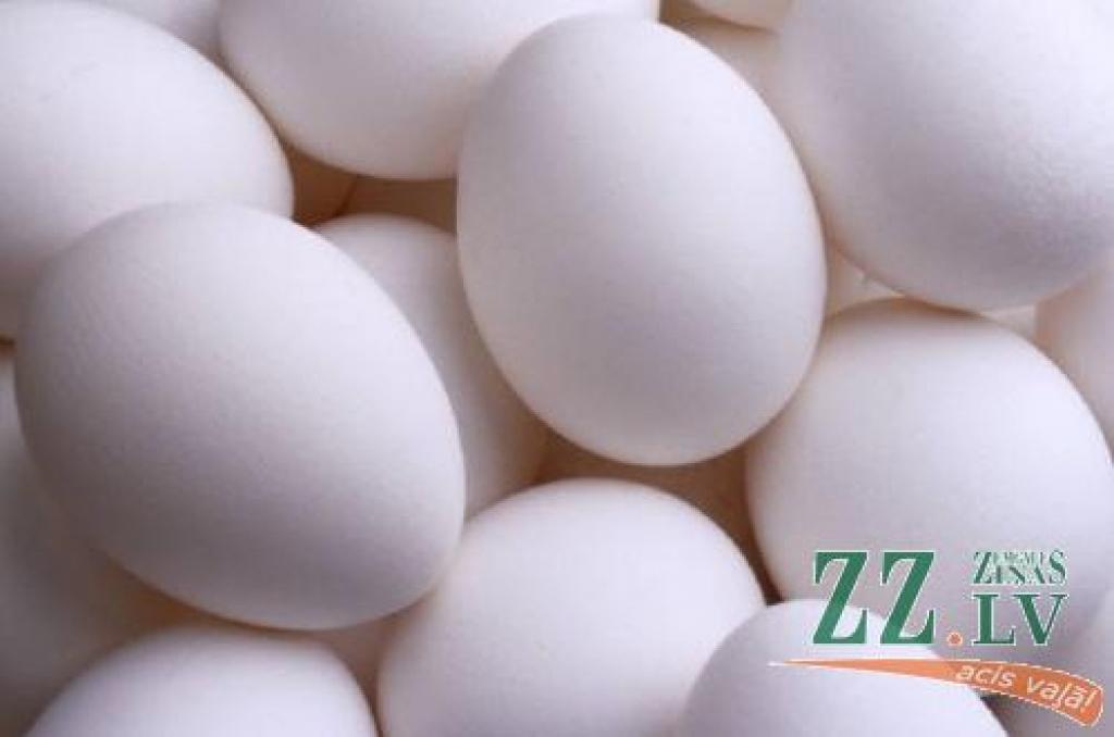 Autors: No «Ziņu» arhīva. 