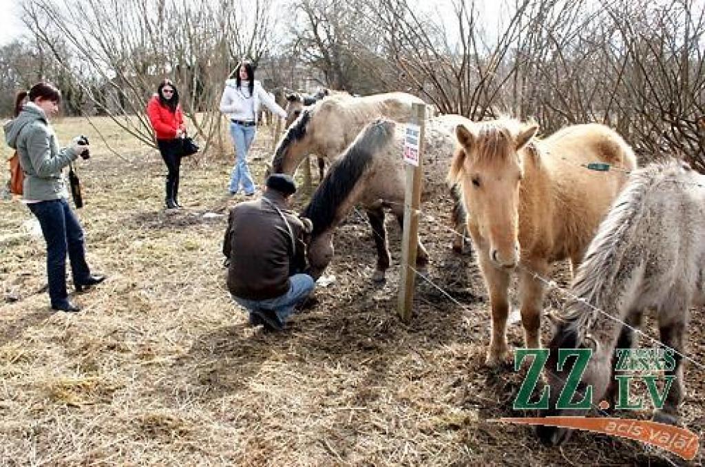 ...
Autors: Agris Samcovs.