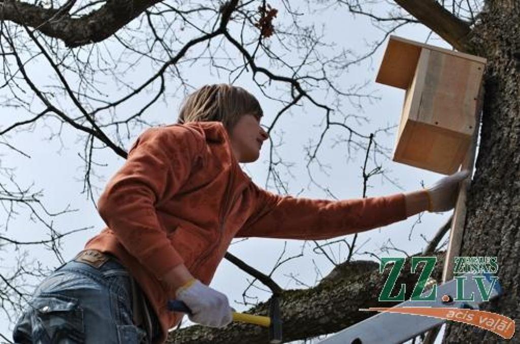 Autors: Linda Lindenbauma.