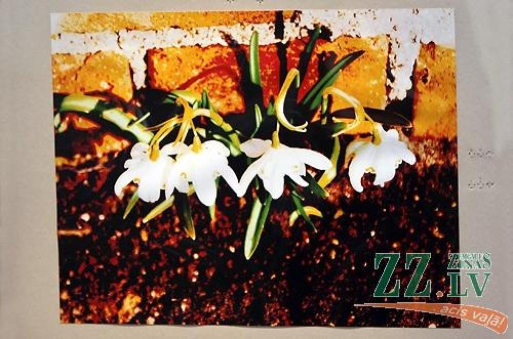 Jelgavas kultūras namā atklāta Haralda Smilgas fotogrāfiju izstāde. Kā sacīja aģentūras «Kultūra» kultūras darba speciāliste Santa Sīle, maijs ir Jelgavas pilsētas svētku mēnesis, kad gribam parādīt pilsētas autorus, ar kuriem lepojamies....