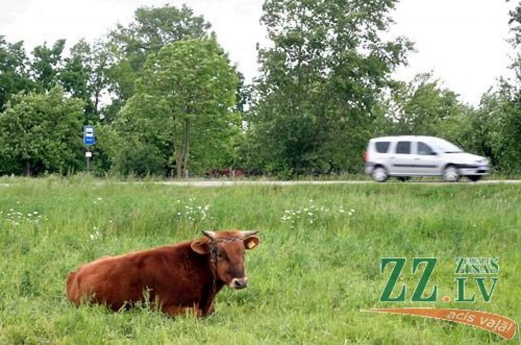 Autors: Agris Samcovs.