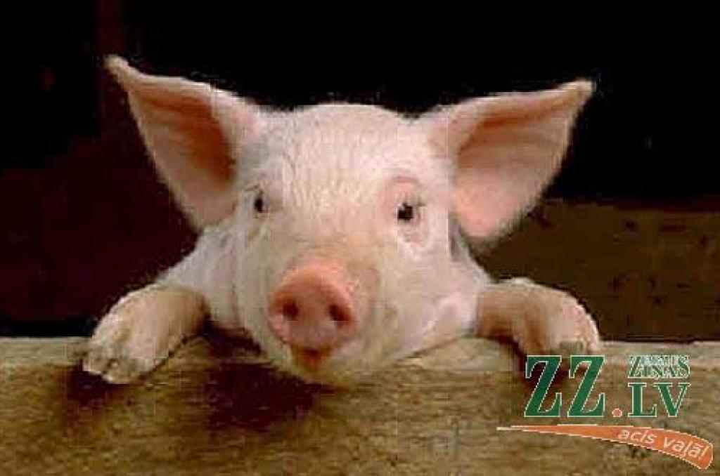 Autors: No «Ziņu» arhīva.