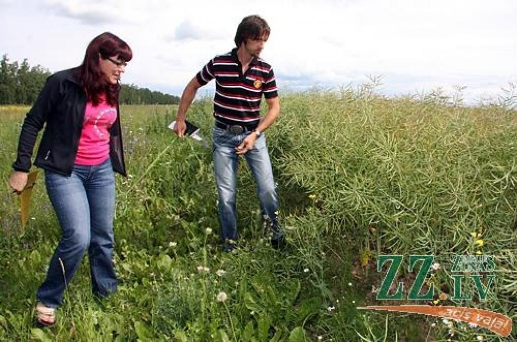 Autors: Krišjānis Grantiņš.