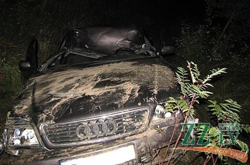 Autors: Andris Petriņš.