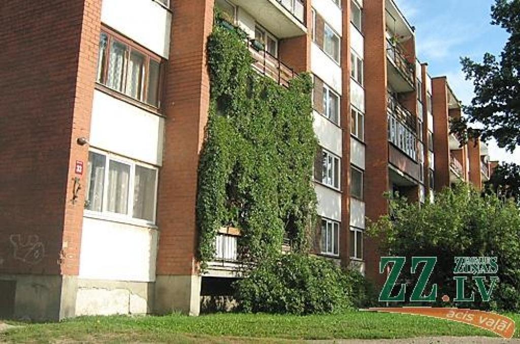 Autors: Maija Laizāne.