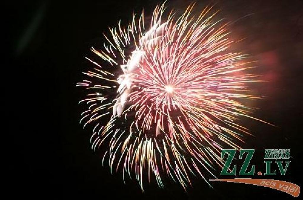 18.novembra vakarā uzņēmēji jelgavniekiem uzdāvināja krāšņu uguņošanu, kaut arī iepriekšējās runas par mazākām izmaksām un jauniem pārsteigumiem varēja viest bažas, ko šogad būs jāpriecājas, ka vispār sanācis salūts.

Bija aptuveni desmit...