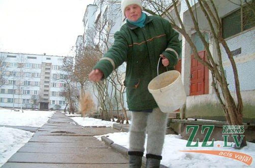 Autors: Agris Samcovs.