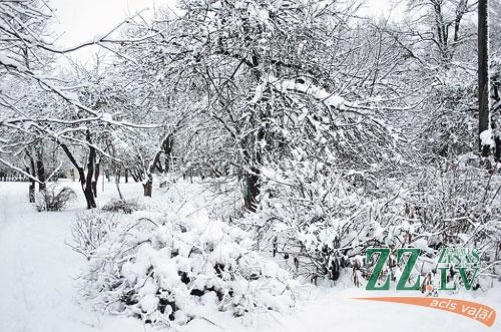 Autors: Agris Samcovs