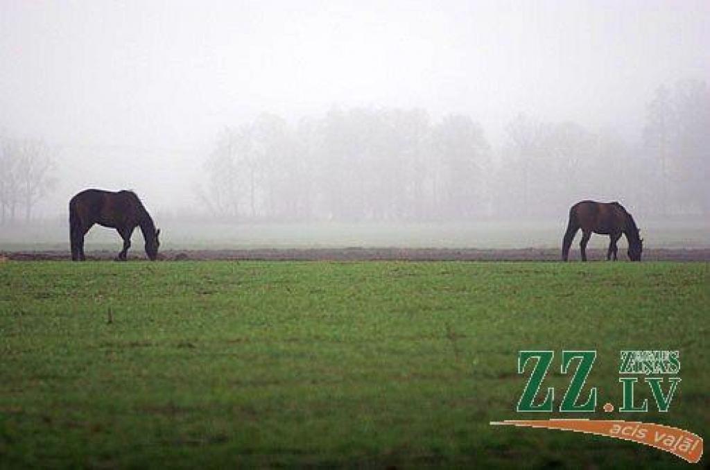 Autors: Agris Samcovs