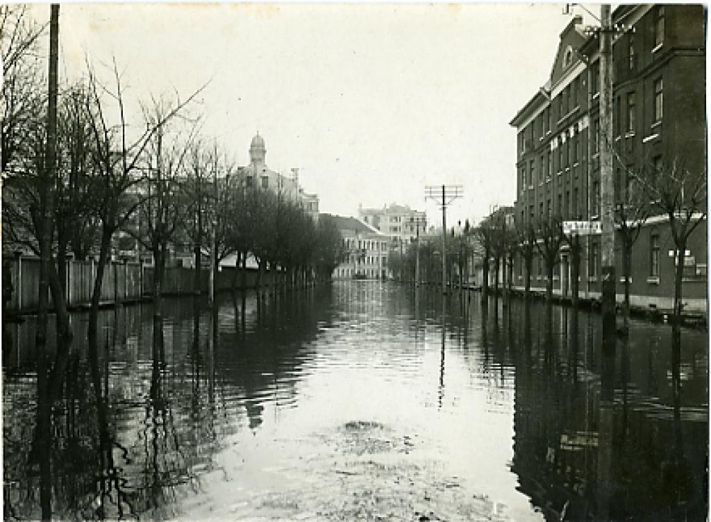 Autors: portāla zz.lv redaktors