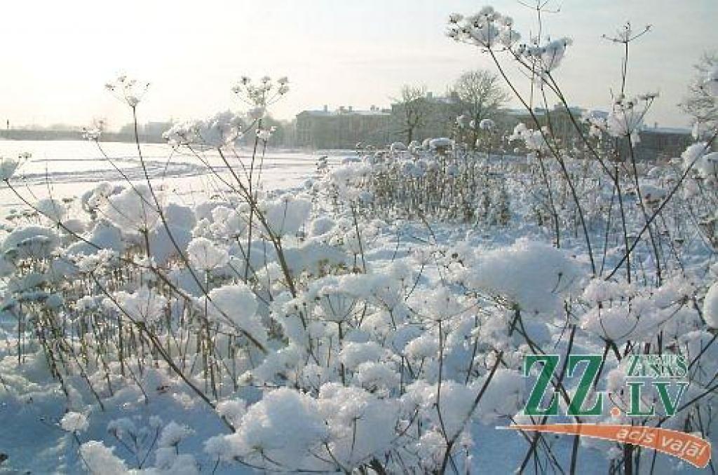 Autors: ZZ arhīva foto