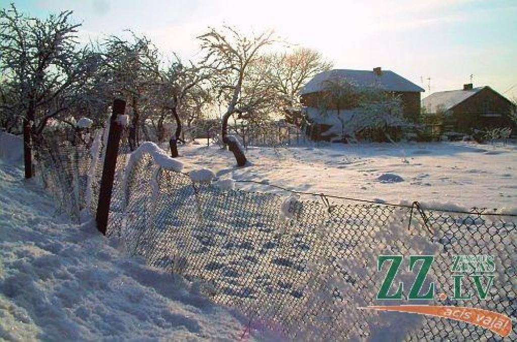 Autors: ZZ arhīva foto