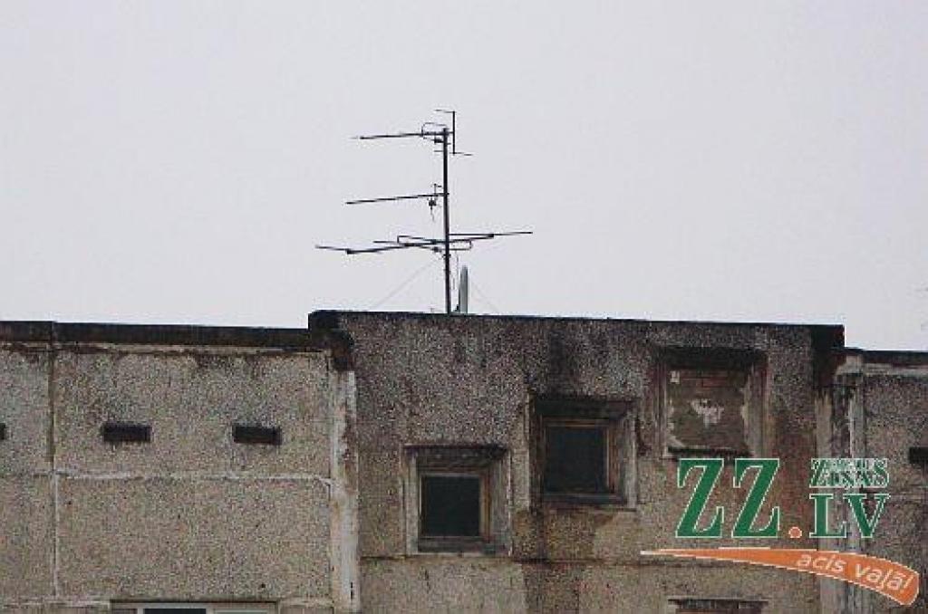 Autors: Evita Puriņa