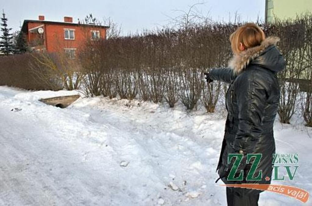 Autors: Agris Samcovs