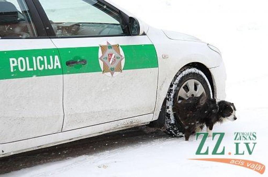 Nedēļas foto. Iesūti savu parakstu!

Aicinām jūs, lasītāji, iesūtīt publicēšanai gan savas, smaidu raisošas, ar Jelgavu un novadiem saistītas fotogrāfijas, gan asprātīgus parakstus publicētajam fotomirklim. Sūtiet tos uz e-pasta adresi...