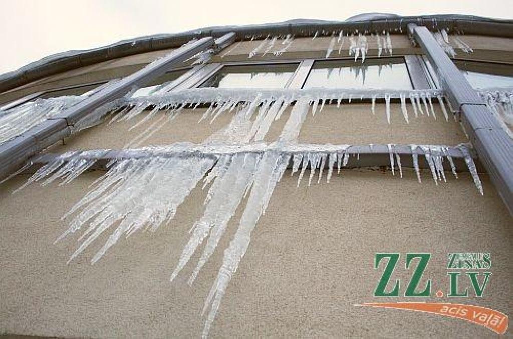 Nedēļas foto. Iesūti savu parakstu!

Aicinām jūs, lasītāji, iesūtīt publicēšanai gan savas, smaidu raisošas, ar Jelgavu un novadiem saistītas fotogrāfijas, gan asprātīgus parakstus publicētajam fotomirklim. Sūtiet tos uz e-pasta adresi...