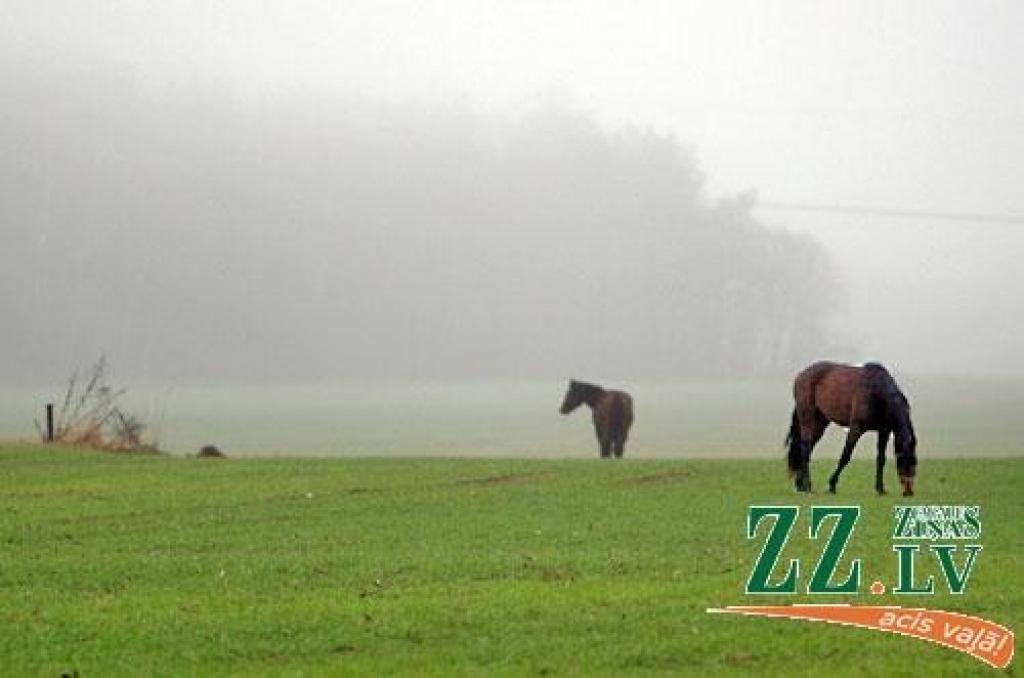 Attēlam ir ilustratīva nozīme.
Autors: Agris Samcovs