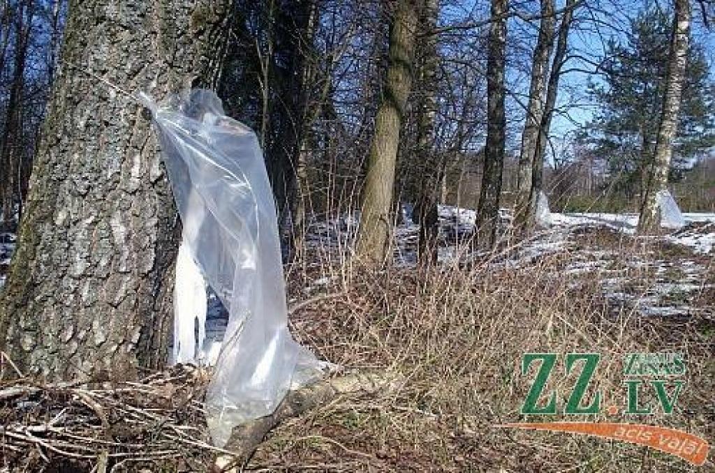 Autors: no static.panoramio.com