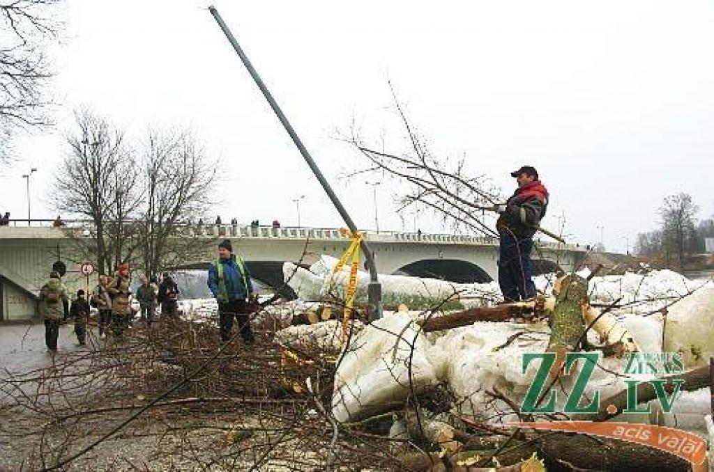 Autors: Evita Puriņa