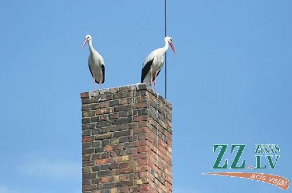 Autors: Agris Samcovs