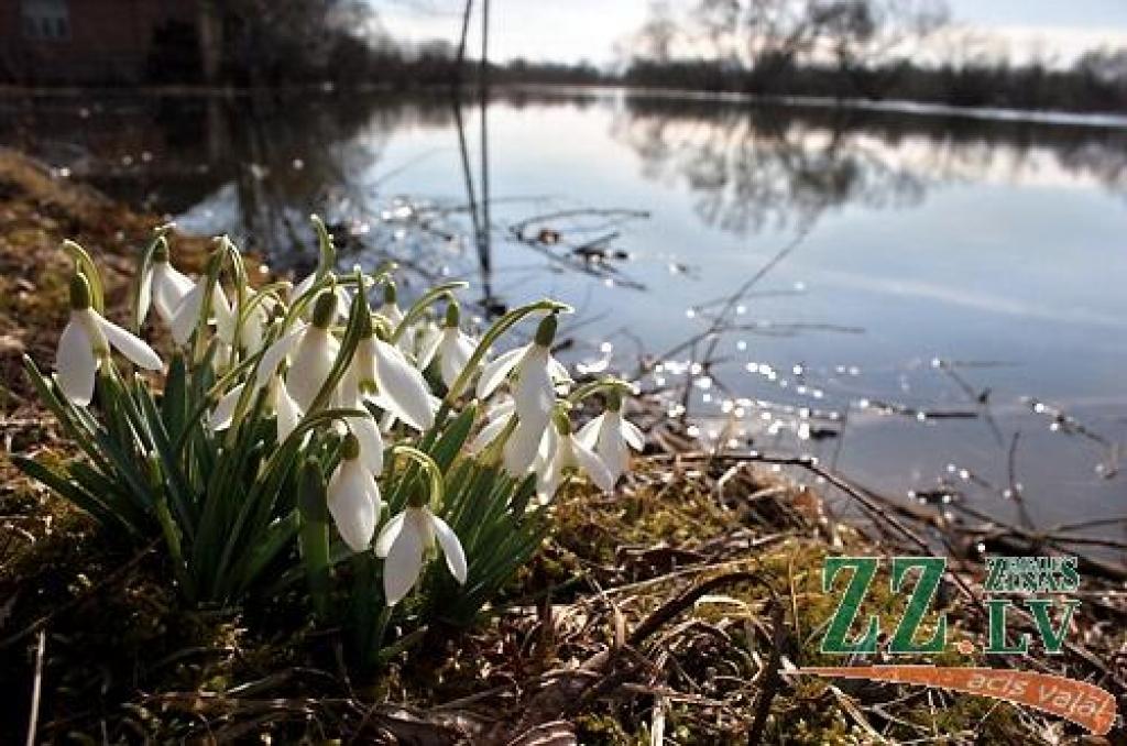 Autors: ZZ arhīva foto