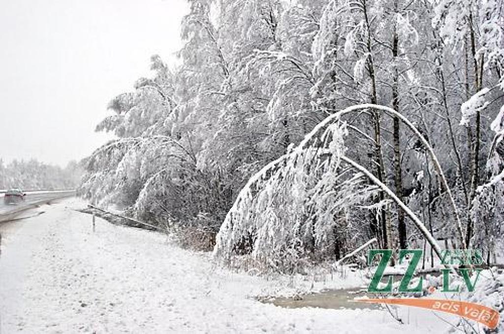 Autors: ZZ arhīva foto