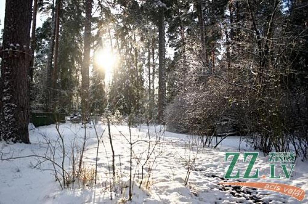 Autors: ZZ arhīva foto