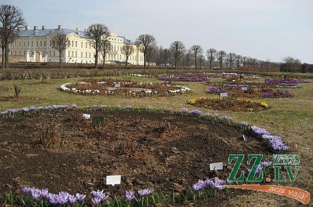 Dabā mostas pavasaris, arī pils parkā jaušamas pavasara vēsmas – uzziedējuši pirmie krokusi, īrisi un hiacintes. Arī tulpes pamazām sāk raisīt savus pumpurus.