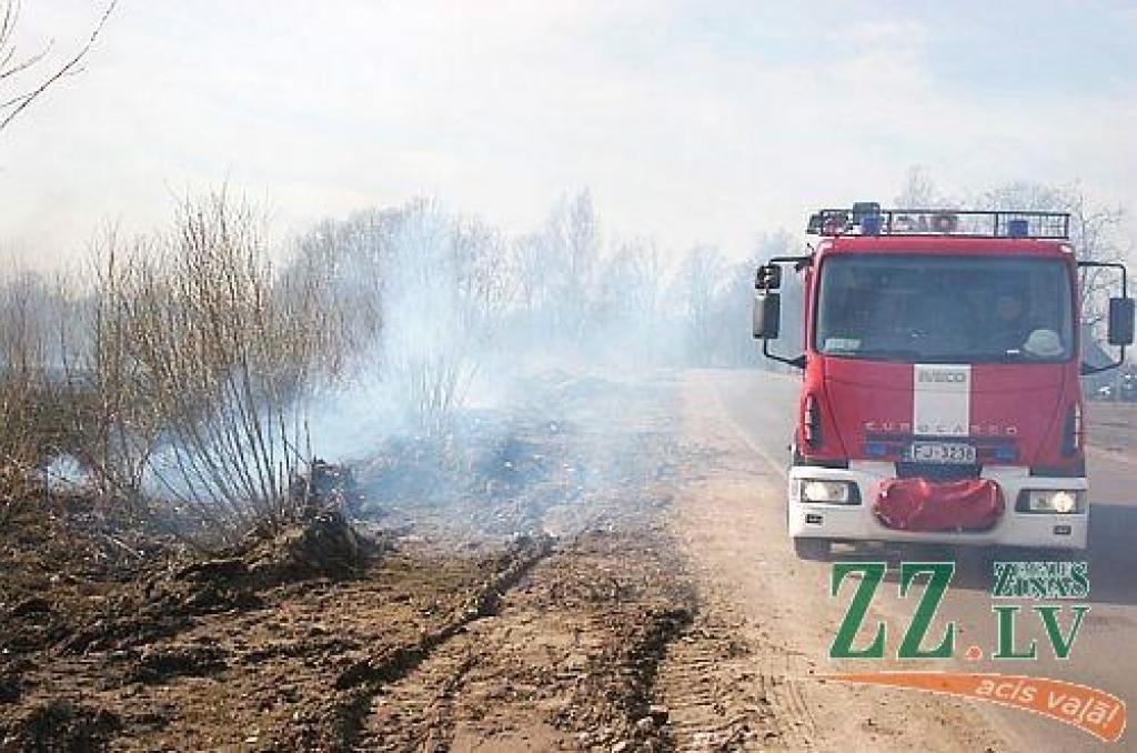 Autors: no ZZ arhīva