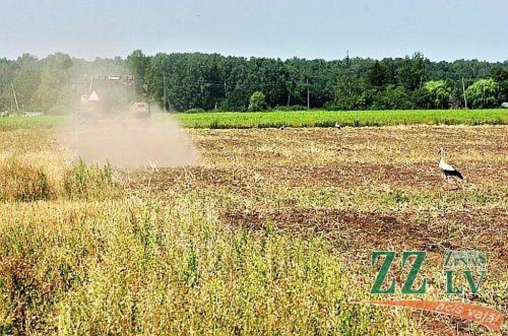 (Attēlā redzamais lauks nav bumbas atrašanas vieta.)
Autors: no ZZ arhīva