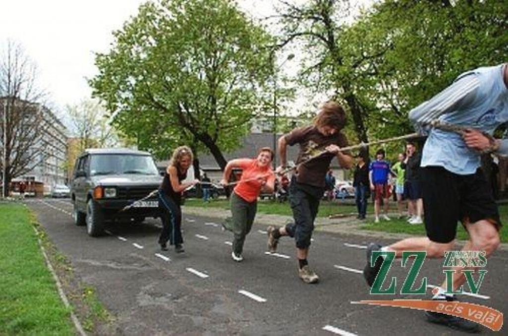 Autors: no www.mf.llu.lv