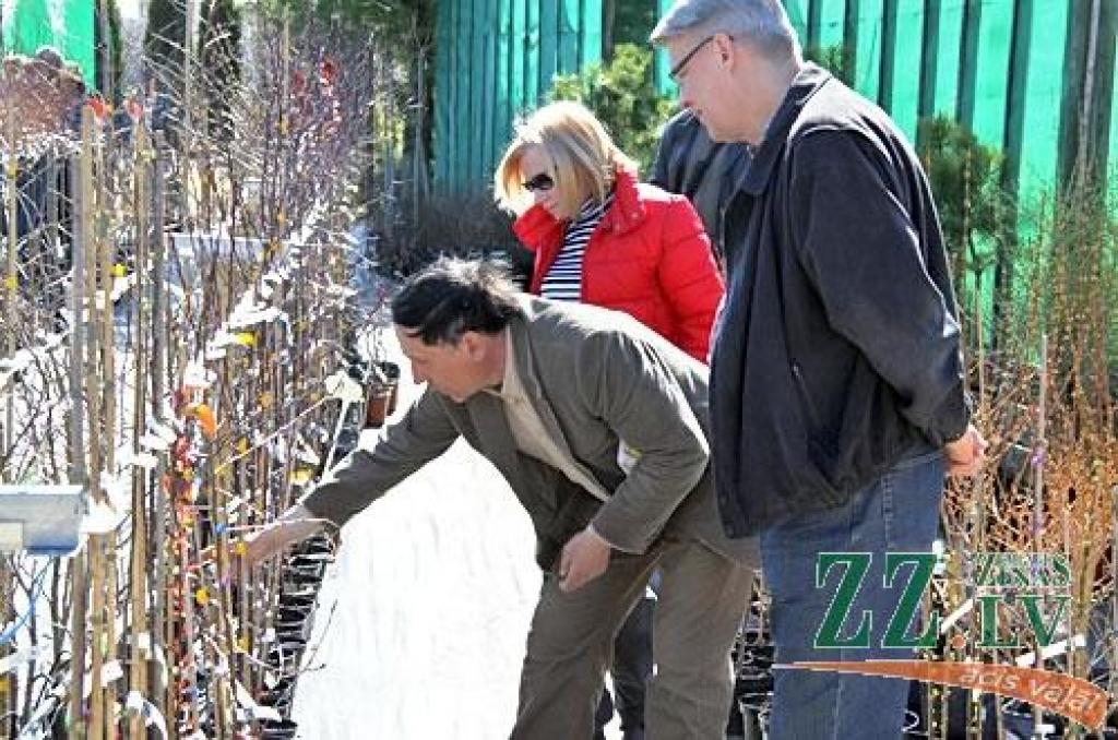 Autors: Agris Samcovs