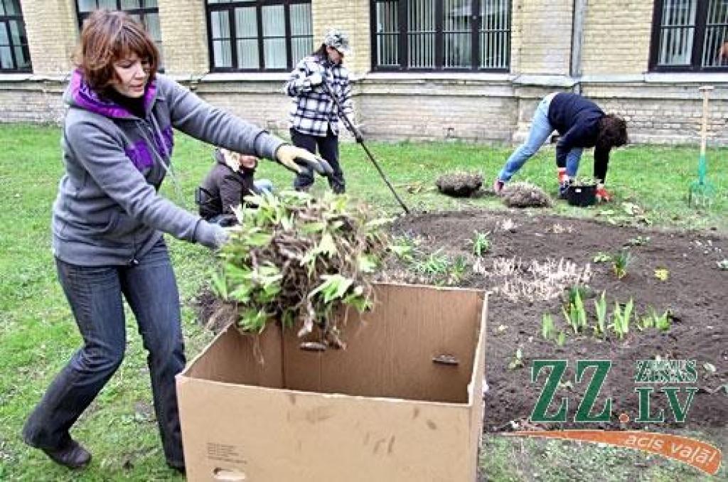 Lauku atbalsta dienesta Zemgales reģionālās lauksaimniecības pārvaldes darbinieki labiekārtoja savu teritoriju.
Autors: Agris Samcovs