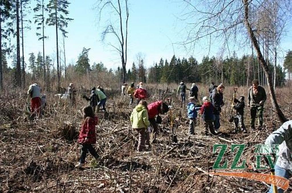Autors: no stādīšanas talkas dalībnieku arhīva