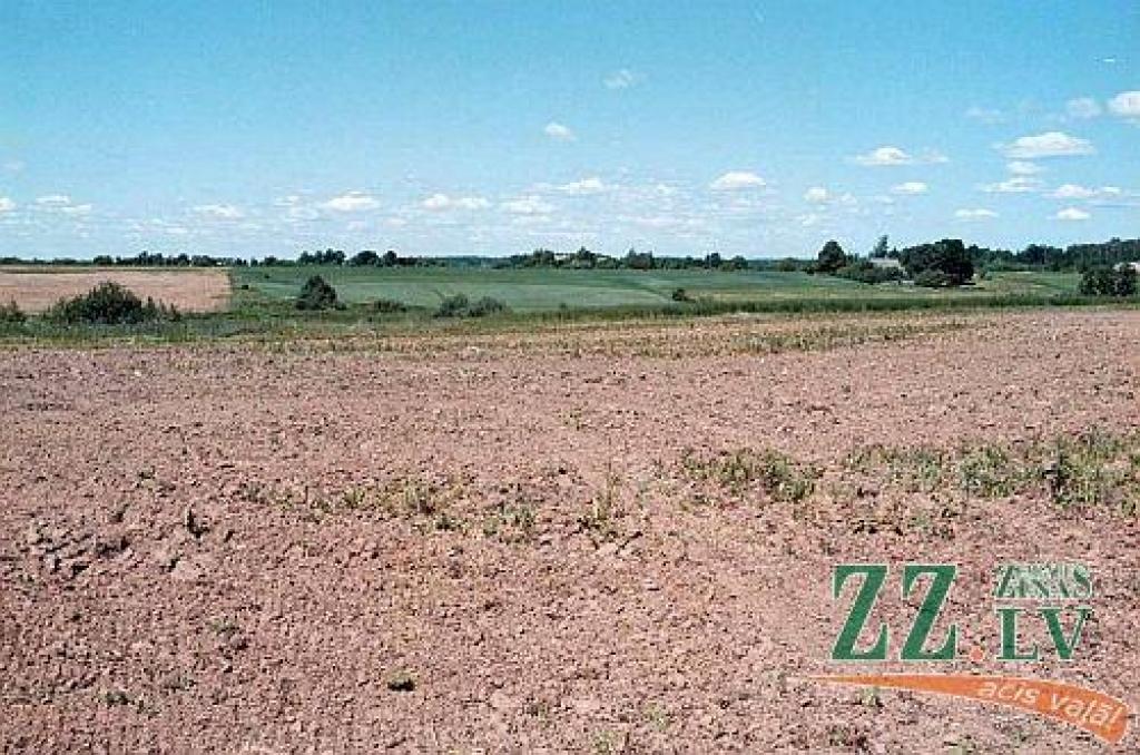 Autors: no ZZ arhīva