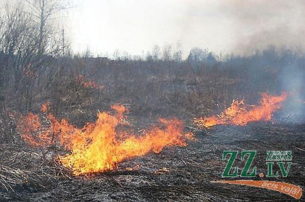 Autors: no ZZ arhīva