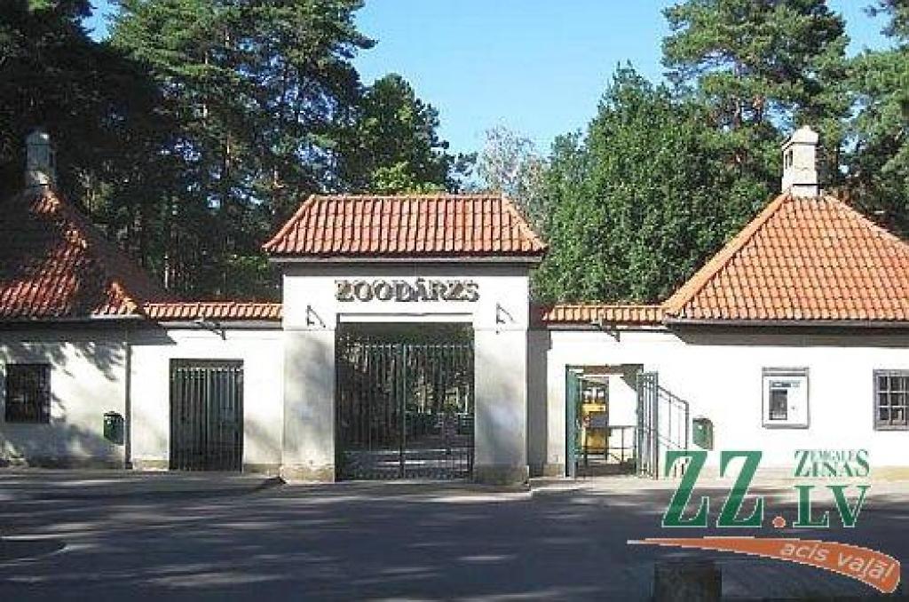 Autors: no LLU arhīva