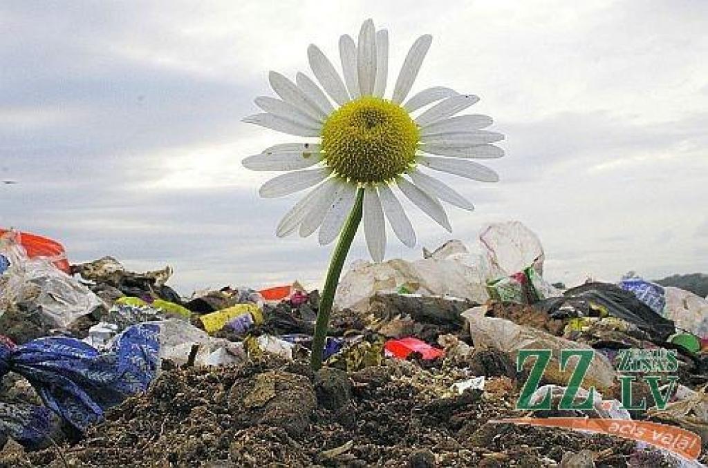 Autors: no ZZ arhīva