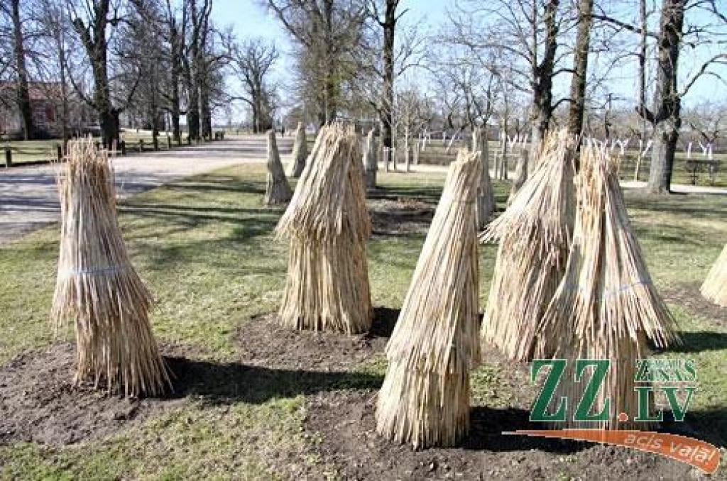 Autors: Agris Samcovs