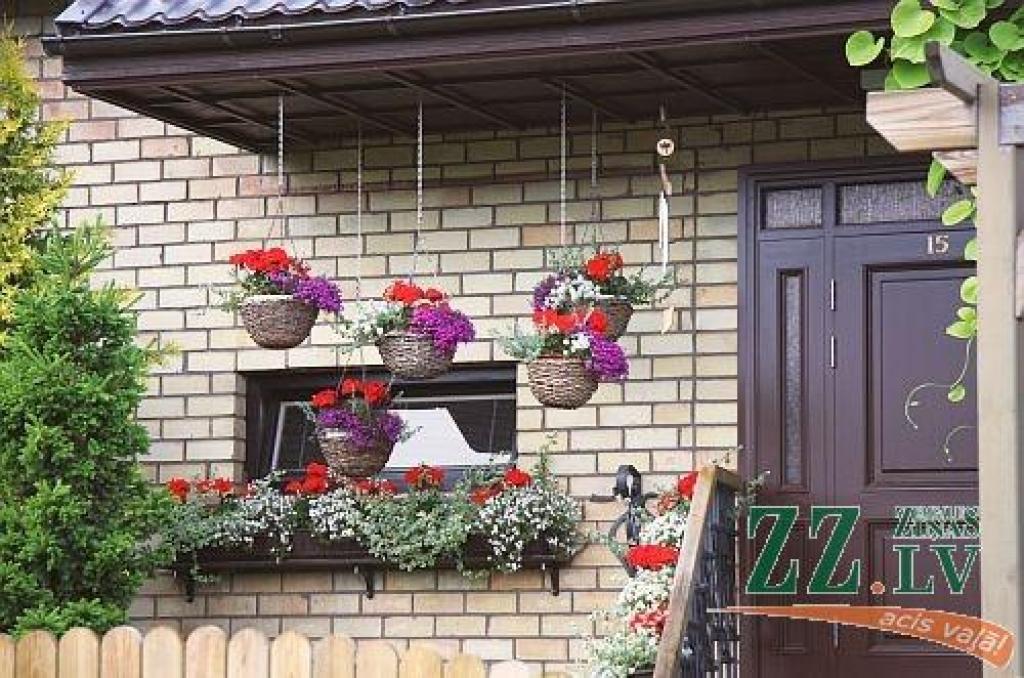 Autors: no ZZ arhīva