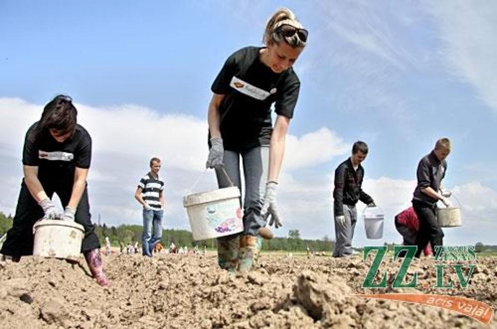 Autors: Agris Samcovs