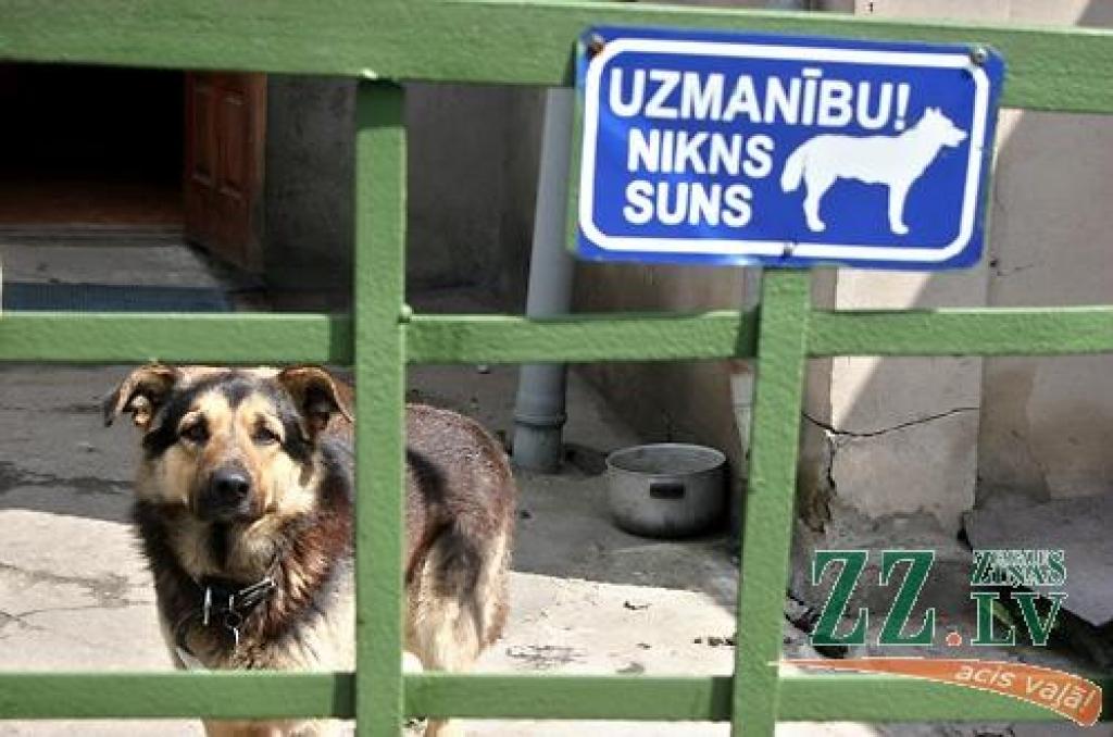 Autors: no ZZ arhīva