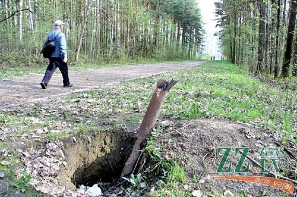 Autors: Agris Samcovs