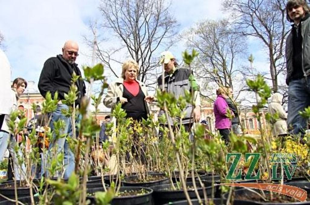 Autors: Agris Samcovs