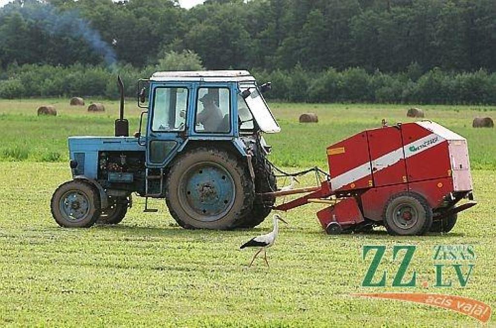 Autors: no ZZ arhīva